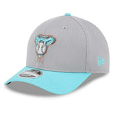 Arizona Diamondbacks Colorway 2025 MLB Batting Practice 9FORTY M-Crown Snapback Cap Gray - Taass discount