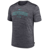 Arizona Diamondbacks 2024 MLB Authentic Practice Nike Velocity T-Shirt Gray - Taass online