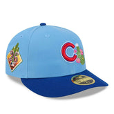 Chicago Cubs 2026 MLB Authentic Spring Training 59FIFTY Low Profile Cap Blue - Taass sale