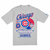 Chicago Cubs Sport Classics Oversized MLB T-Shirt Gray - Taass near me