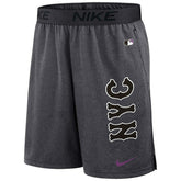 New York Mets 2024 City Connect MLB Authentic Nike Dri-FIT Shorts - Taass online