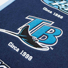Tampa Bay Rays Logo Evolution MLB Wool Banner - Taass online