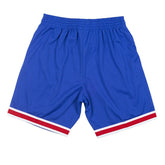New Jersey Nets 1993-94 Mitchell & Ness Swingman NBA Shorts Blue - Taass near me