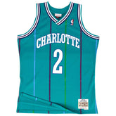 Larry Johnson #2 Charlotte Hornets 1992-93 Mitchell & Ness Swingman NBA Jersey Teal - Taass online