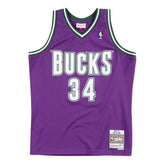 Ray Allen #34 Milwaukee Bucks 2000-01 Mitchell & Ness Swingman NBA Jersey Purple - Taass near me