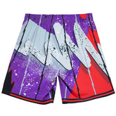 Toronto Raptors Hyper Hoops Mitchell & Ness Swingman NBA Shorts - Taass sale