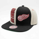 Detroit Red Wings Pop Panel Mitchell & Ness Snapback NHL Cap - Taass sale