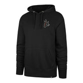 Arizona Coyotes Tonal Backer Burnside NHL Hoodie Black - Taass online