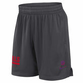 Buffalo Bills 2024 NFL Sideline Mesh Nike Dri-FIT Shorts Gray - Taass online