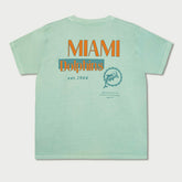 Miami Dolphins L&L '89 Classics NFL T-Shirt Mint Green - Taass for sale