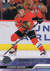 2023/24 Upper Deck Series 2 NHL Hobby Box - Taass online