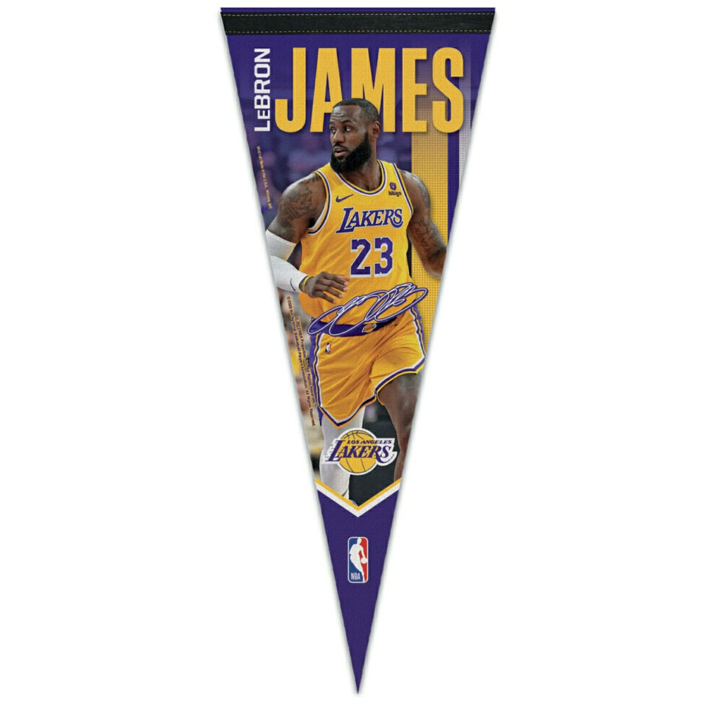 LeBron James Los Angeles Lakers WinCraft Premium NBA Pennant - Taass sale