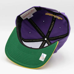 LSU Tigers Team Tone Mitchell & Ness Original Fit Snapback NCAA Cap - Taass sale